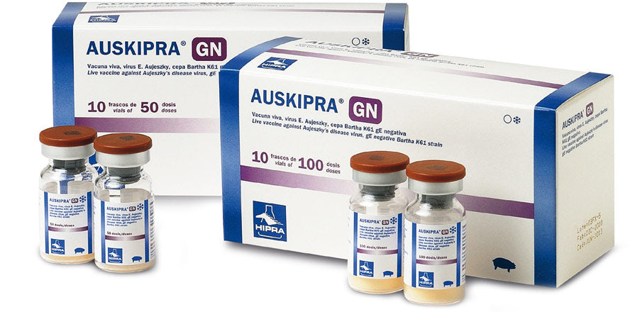 Auskipra GN