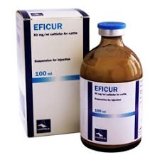 Eficur