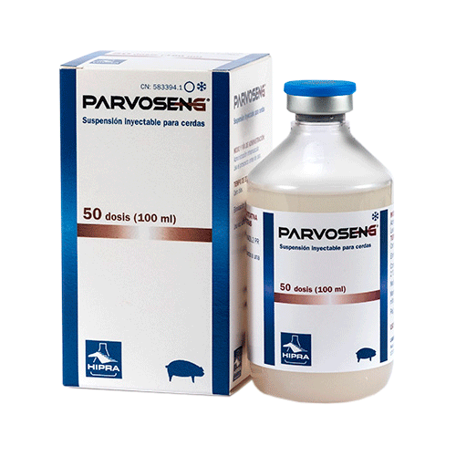 PARVOSENG