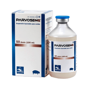 PARVOSENG